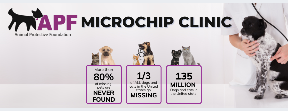 APF Microchip Clinic May 2026